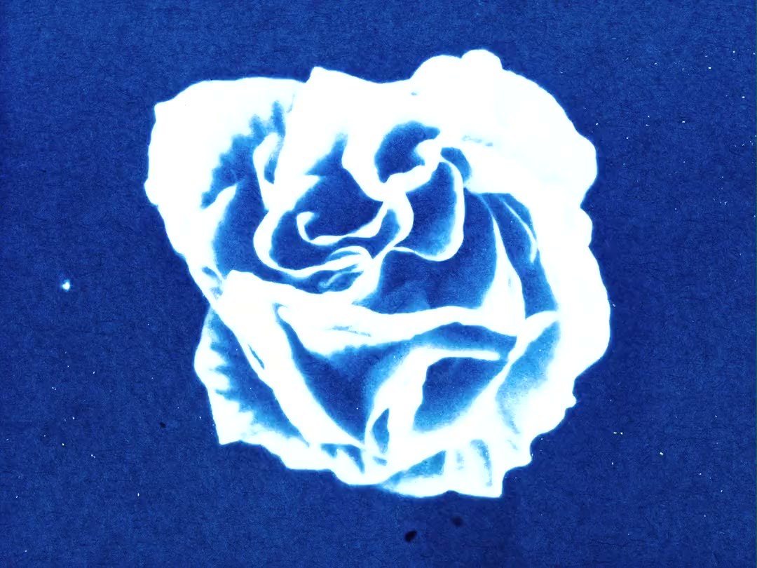 Cyanotype cover for Inner Seasons Collection
